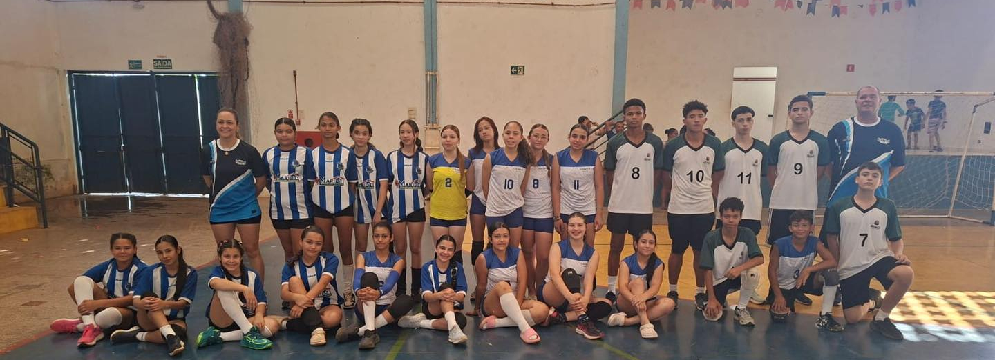 Voleibol
