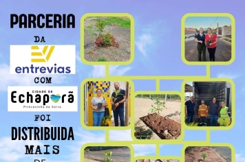 PARCERIA ENTREVIAS AMBIENTAL E PREFEITURA