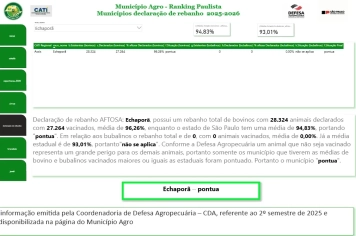 DECLARAÇÃO VACINAÇÃO FEBRE AFTOSA