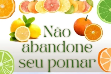 POMAR ABANDONADO!