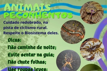 VAI CAMINHAR OU ANDAR DE BICICLETA!