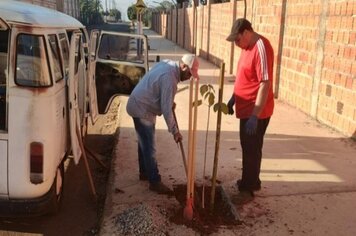 Secretaria de Meio Ambiente realiza plantio de mudas de quaresmeiras e ipês que embelezarão a pista de caminhada