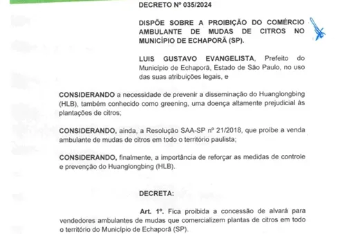 CUIDADO AO COMPRAR MUDAS DE CITROS !
