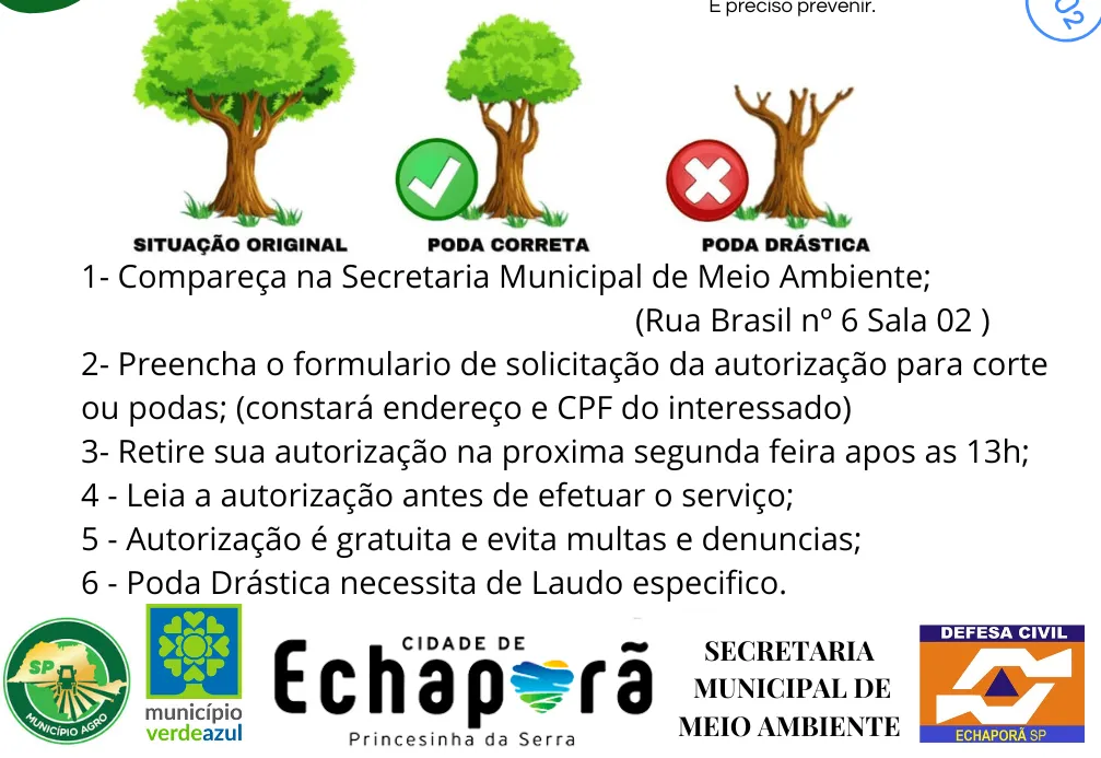 ÁRVORE NA CALÇADA!