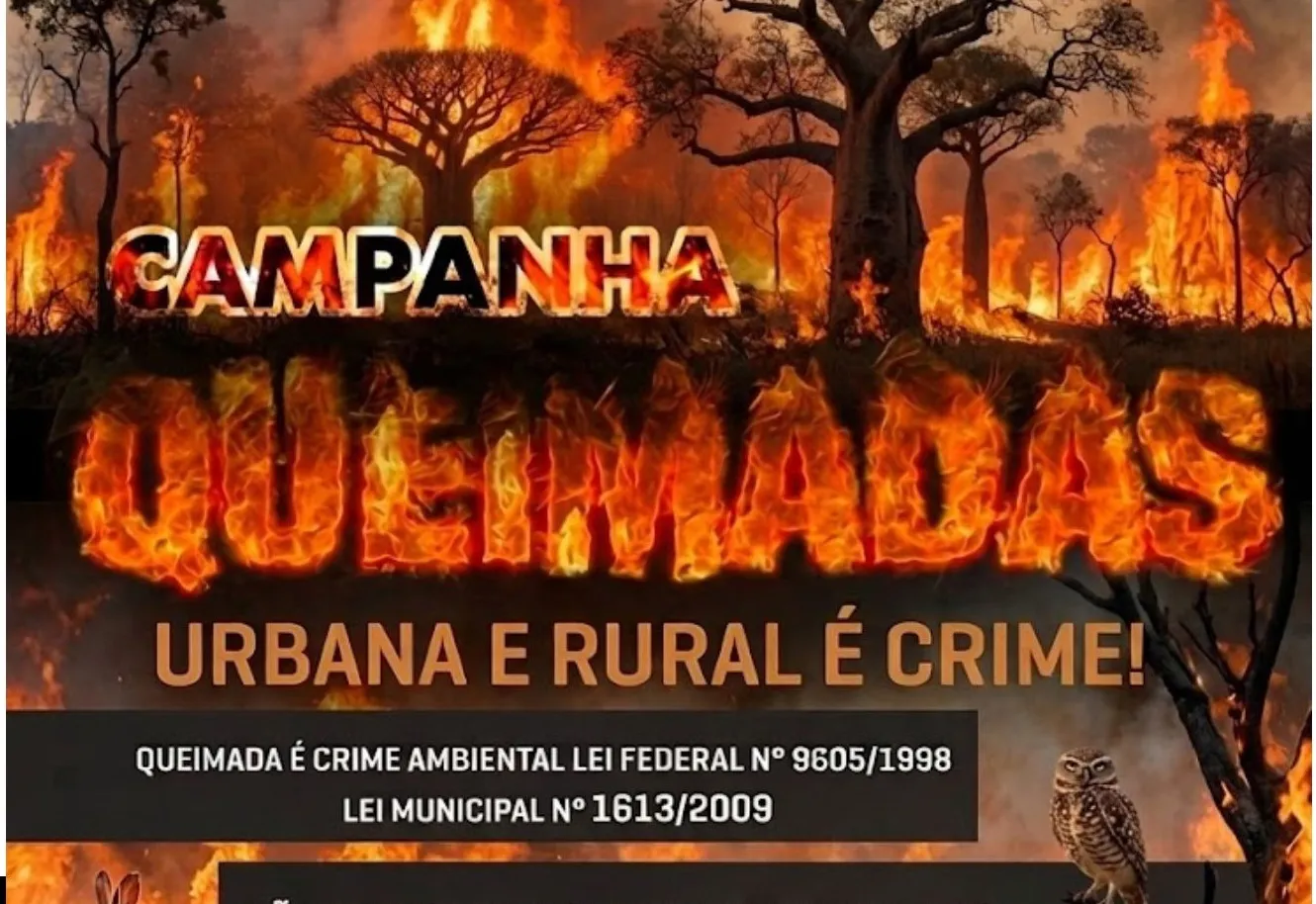 QUEIMADAS URBANAS E RURAIS
