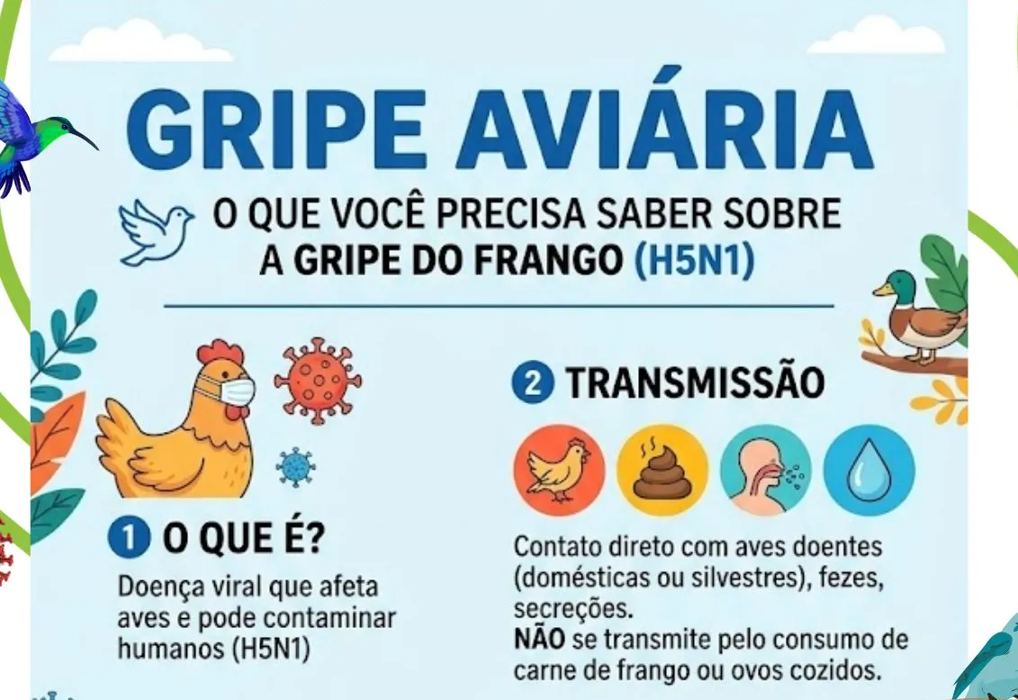 PREVENÇÃO - GRIPE AVIÁRIA