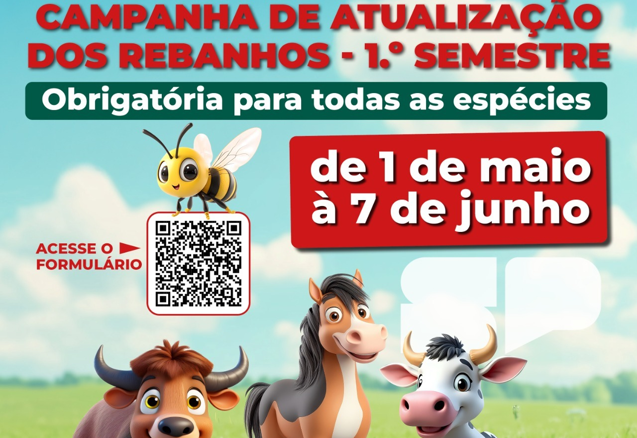 Meio Ambiente
