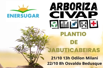 PLANTIO MUDAS JABUTICABEIRAS