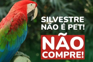 SILVESTRE NÃO É PET!