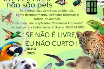 ANIMAIS SILVESTRES NÃO SÃO PETS!