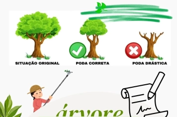 LAUDO PARA PODAS DE ARVORES É GRATUITO!