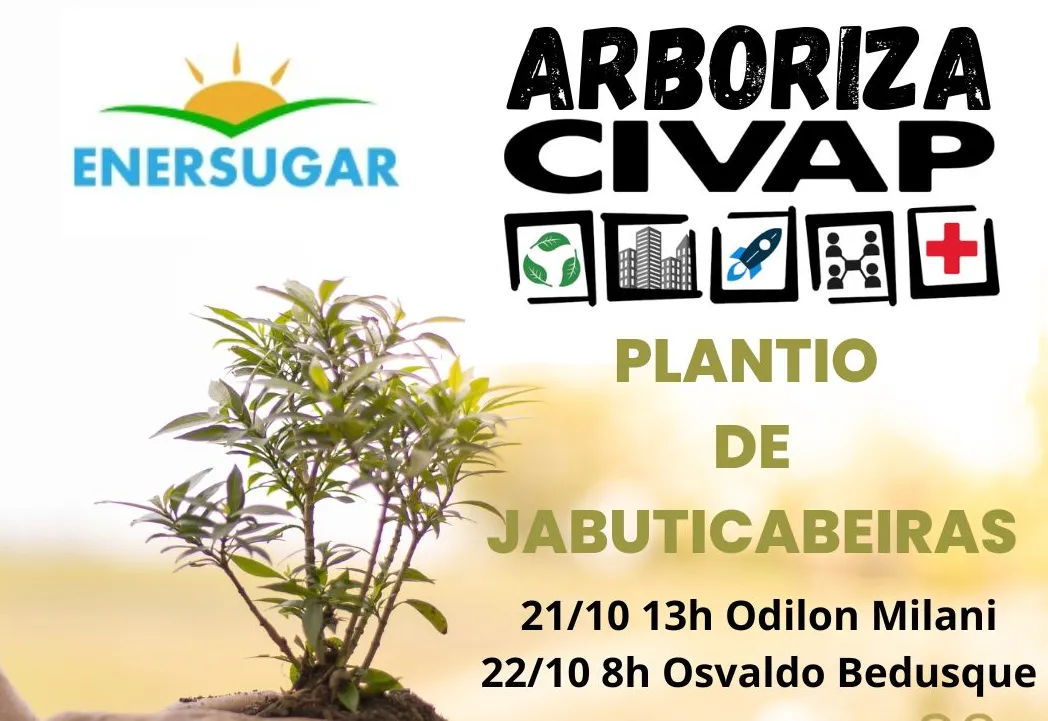 PLANTIO MUDAS JABUTICABEIRAS